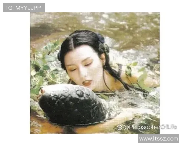 赵敏专访:从青涩小将到网球明星的成长之路与心路历程回顾